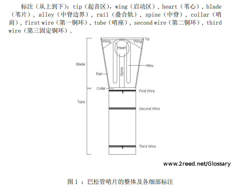中文 Chinese/English